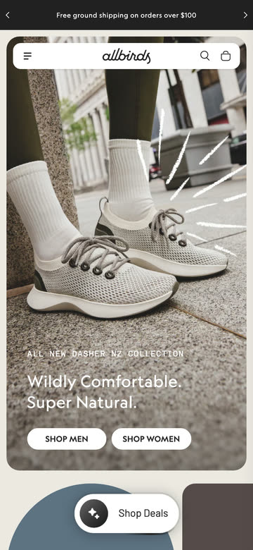 allbirds.com